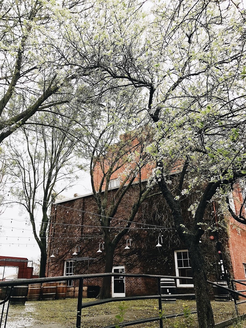 Morgan's Mill photo 3