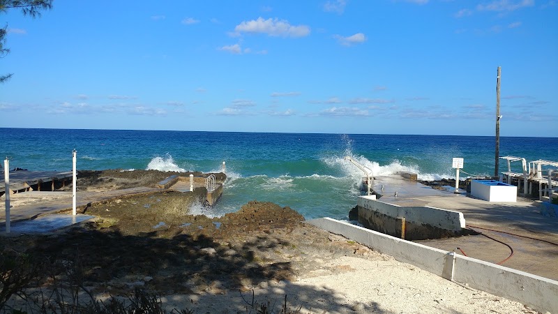 Don Foster's Dive Cayman photo 3