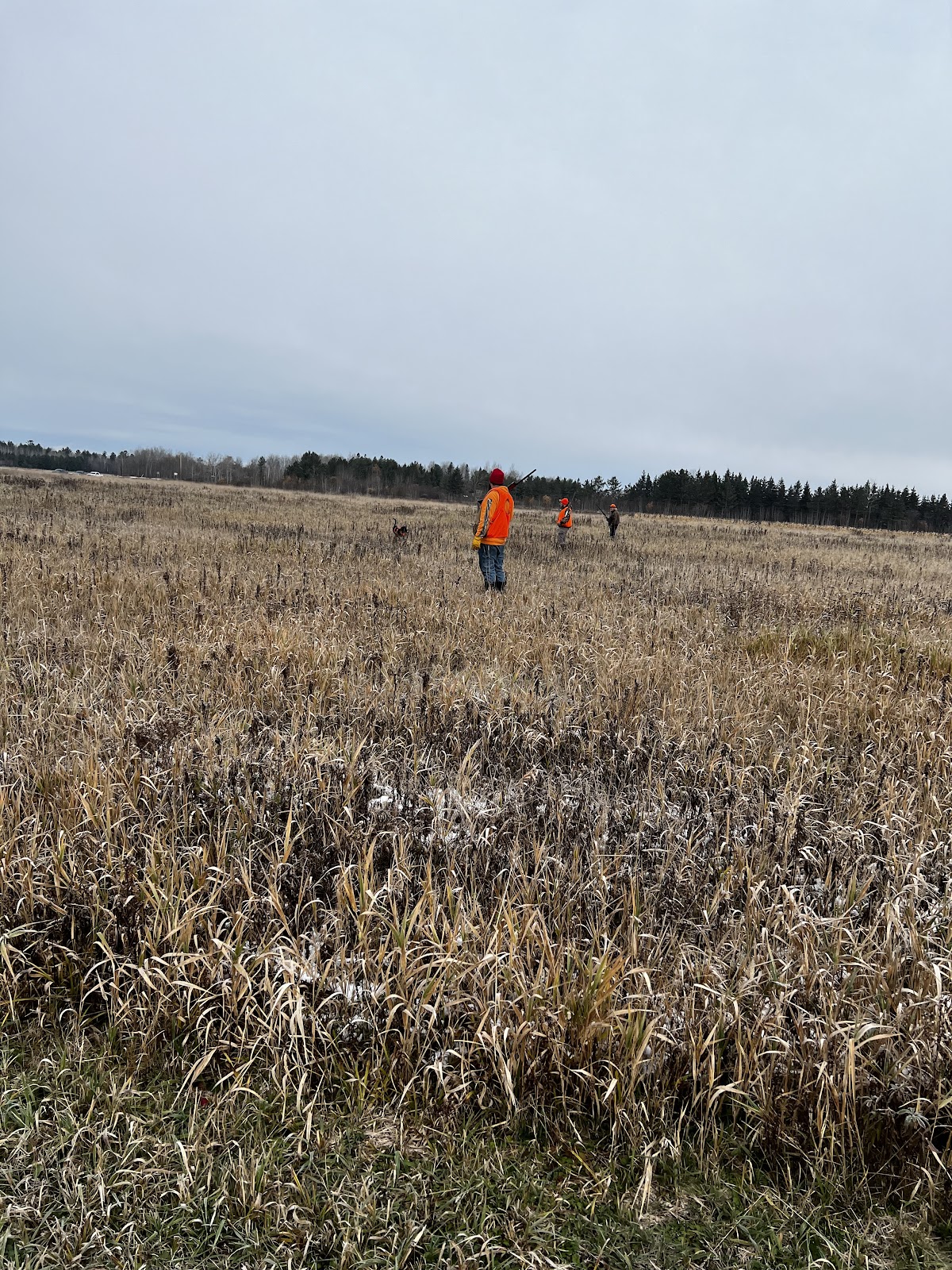 Wild Experience Hunting Preserve