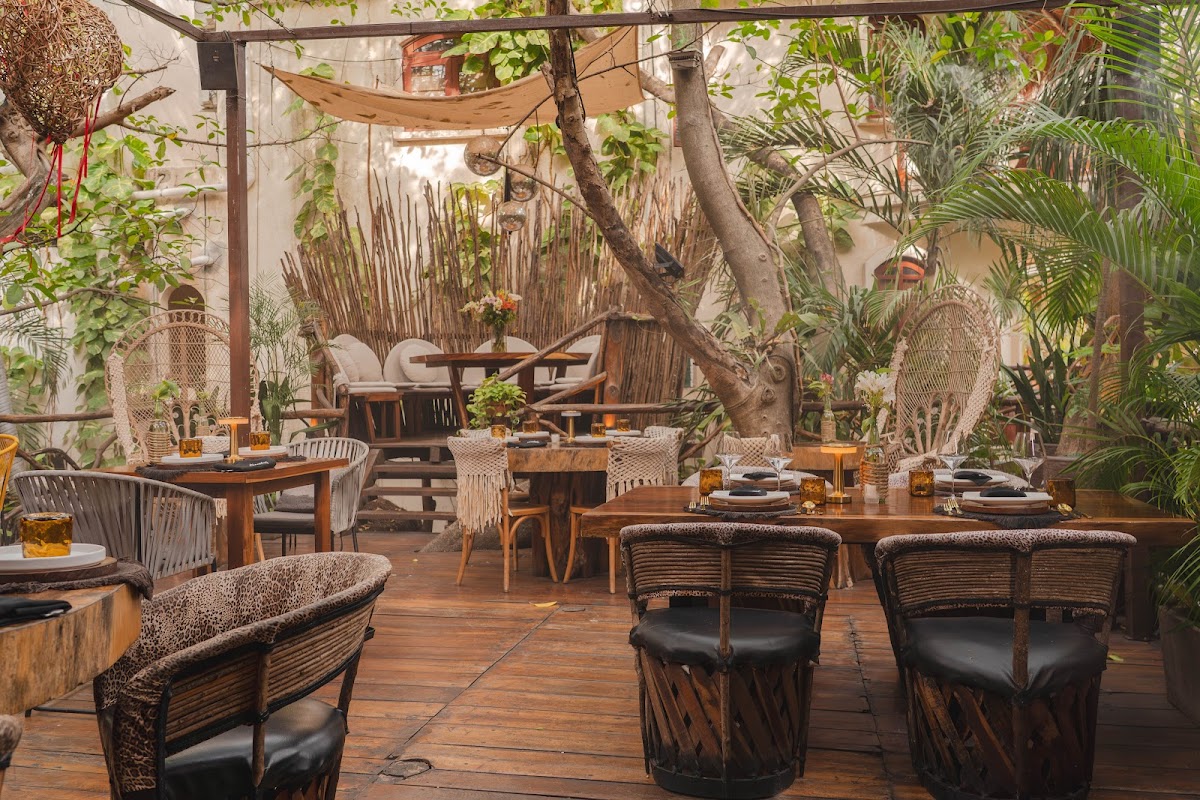 Kascabal in playa-del-carmen