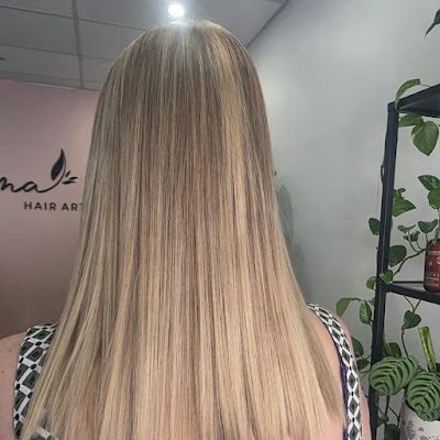 Asma Hair Artistry Organic Hair Salon photo 2