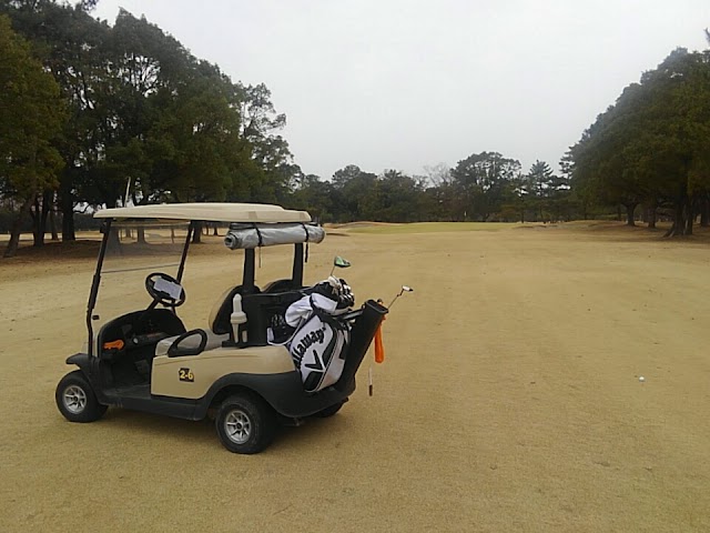 Izumi Golf Club - Photo 10