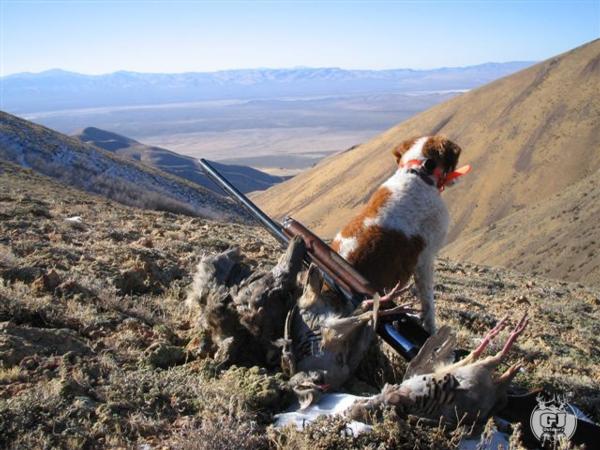 G & J Outdoors