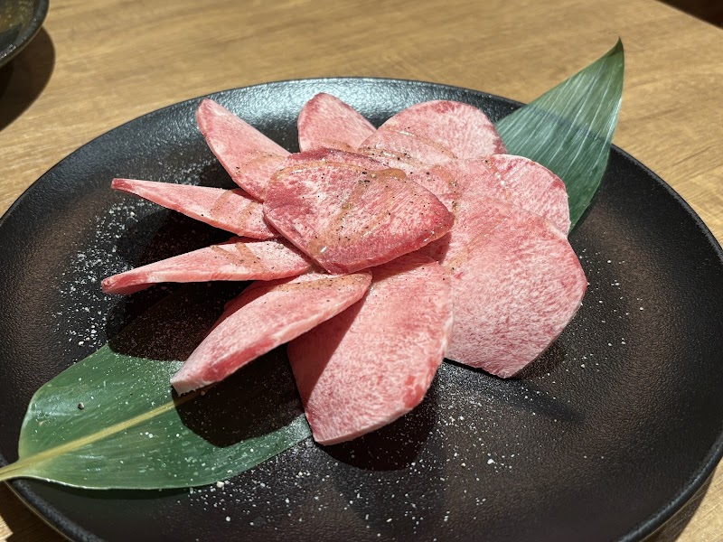 Touka Parramatta photo 10