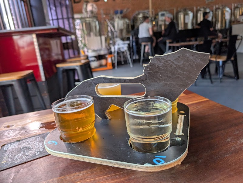 Dusty Lizard Brewing photo 8