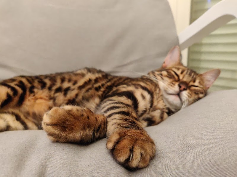 Micán Clínica Veterinaria