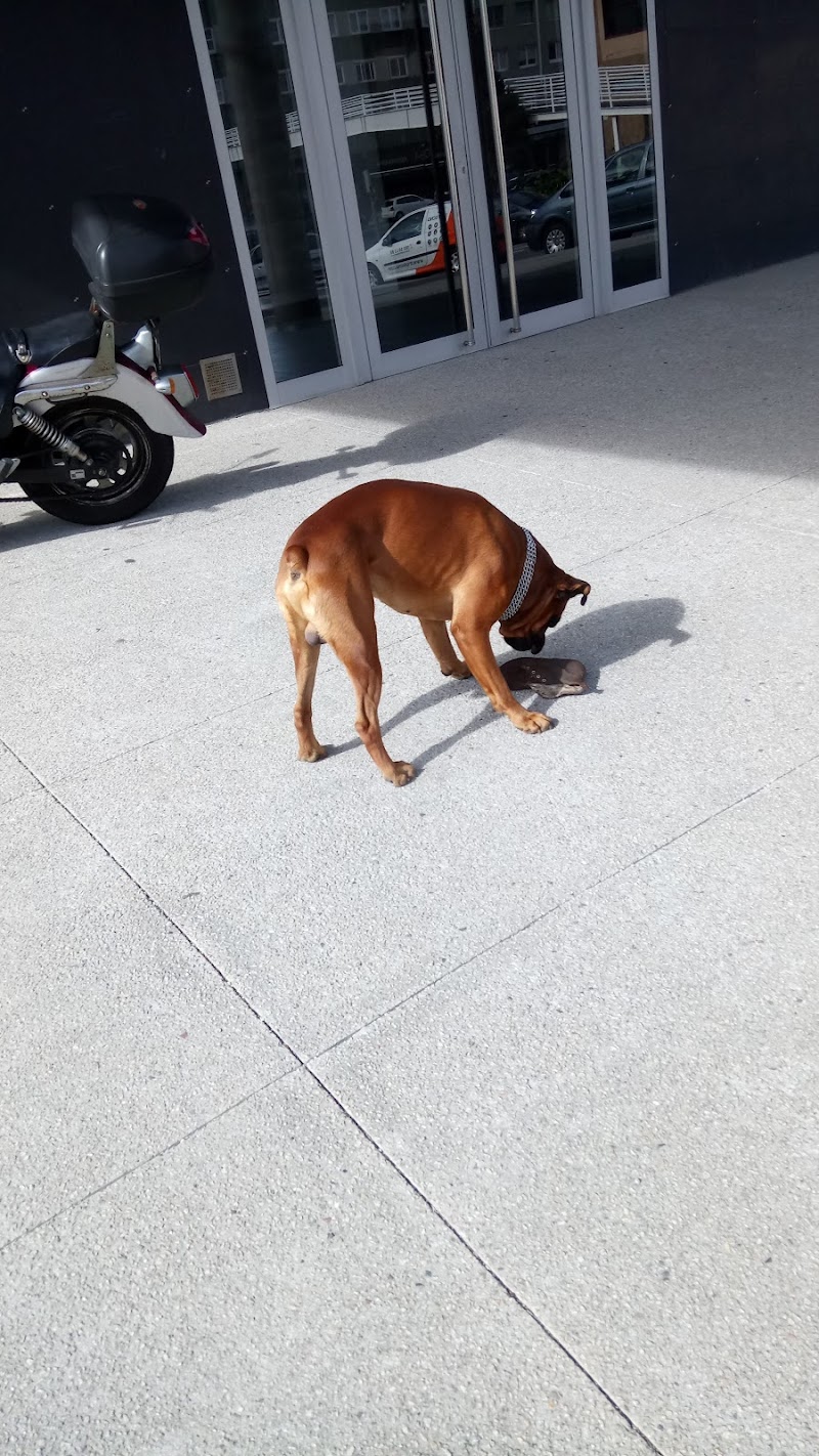 Bodega Berciana photo 5