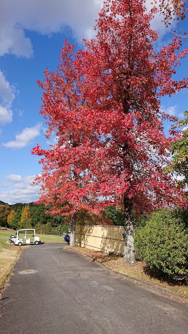 Ise Nakagawa Country Club - Photo 10