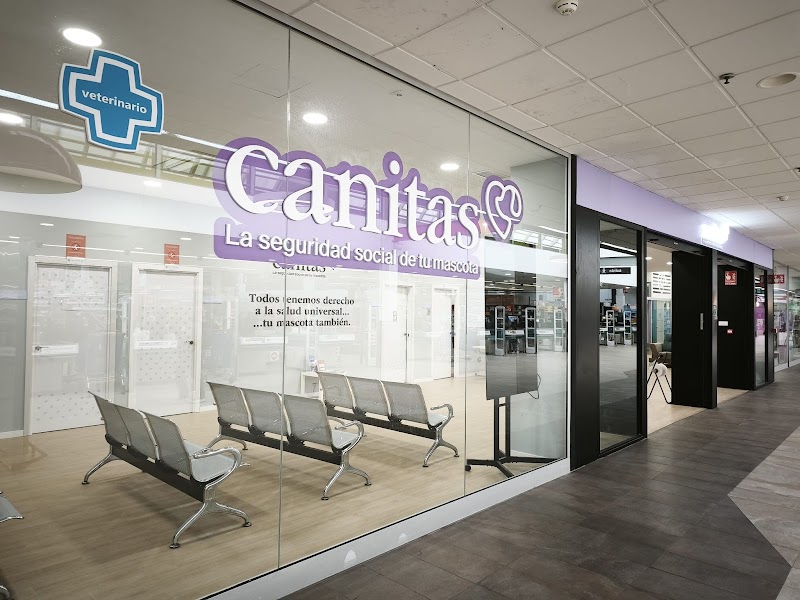 Canitas Veterinaria Murcia - CC Zaraiche