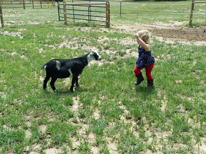 The Random Ranch - Photo 6