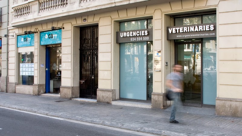 SURvet Hospital Veterinario de Urgencias 24 h
