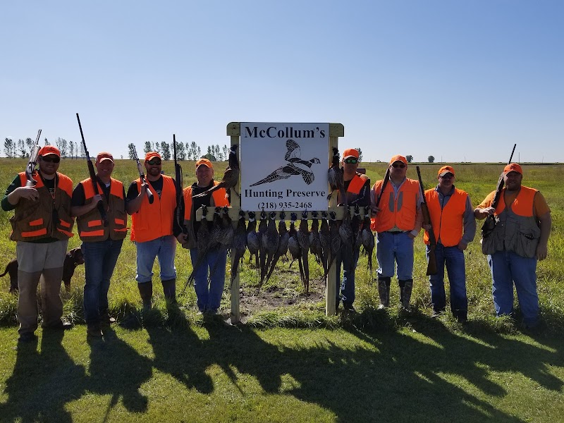 Mc Collum's Hunting Preserve - Photo 4