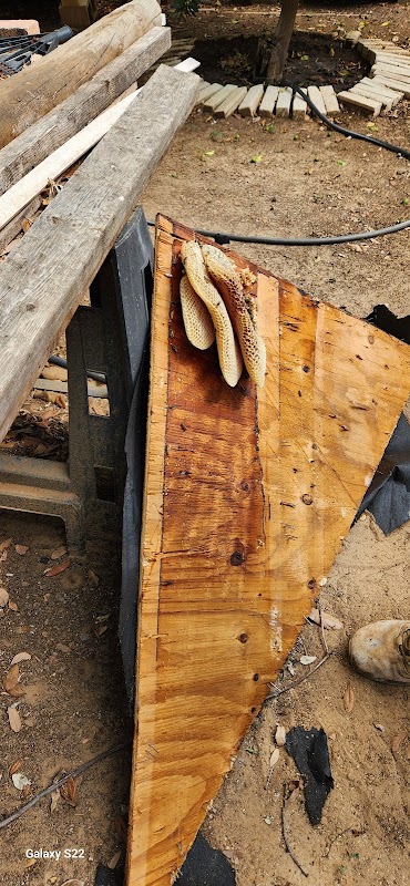 V.L. Garza Roofing & Remodeling, Inc. project 2