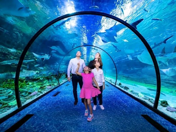 The National Aquarium Abu Dhabi 1