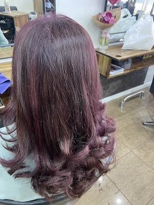 Sensuous Hair & Beauty Studio photo 3