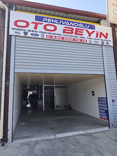Pehlivanoğlu Oto Beyin - Oto Servisi