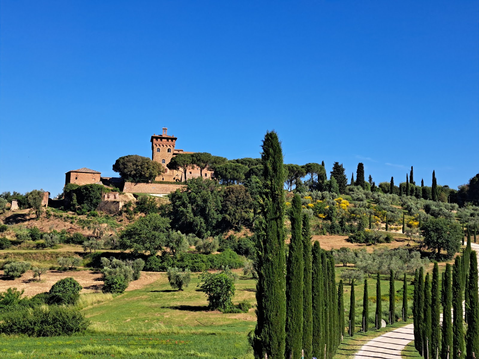 Best Dog-Friendly Hotels in Siena and the Val d'Orcia, Italy