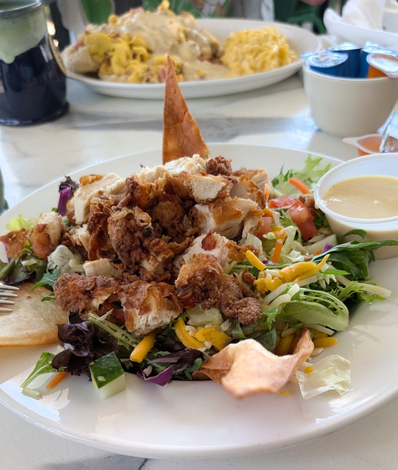 The Toasted Yolk Cafe photo 3