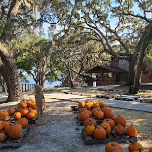 Camp Helen State Park