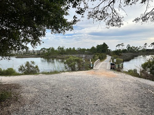 Camp Helen State Park