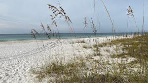 Camp Helen State Park