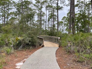 Camp Helen State Park
