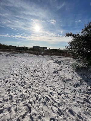 Camp Helen State Park