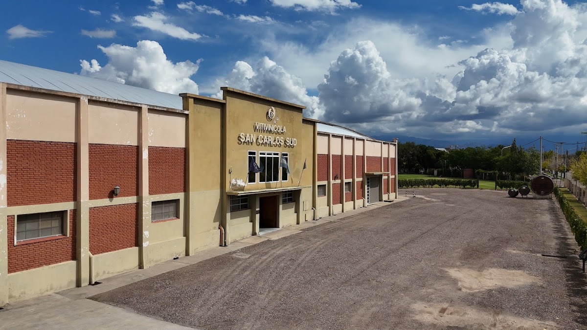 Cooperativa Vitivinicola San Carlos Sud Ltda