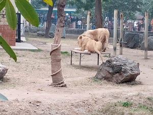 Lahore Zoo