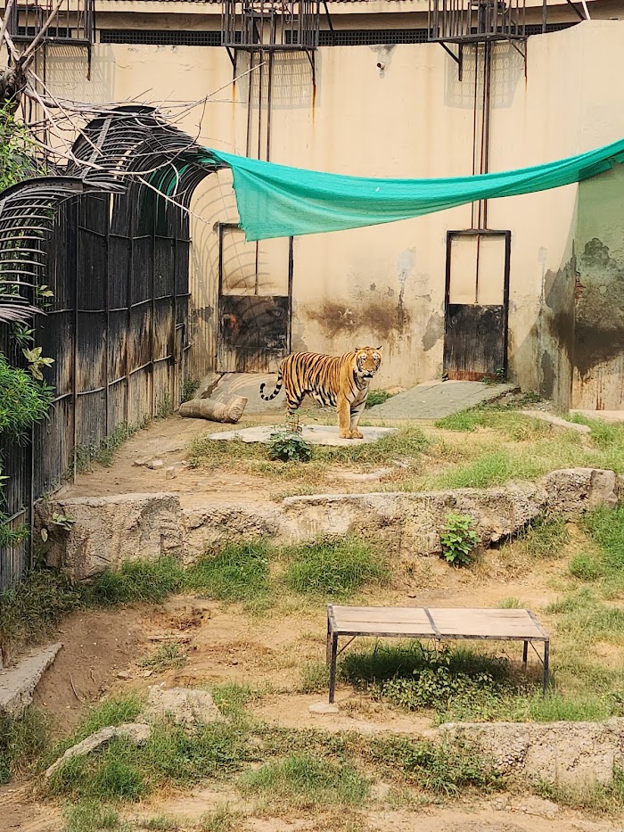 Lahore Zoo