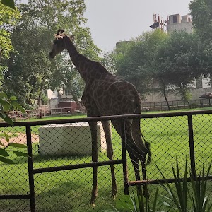 Lahore Zoo