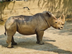 Lahore Zoo