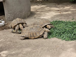 Lahore Zoo