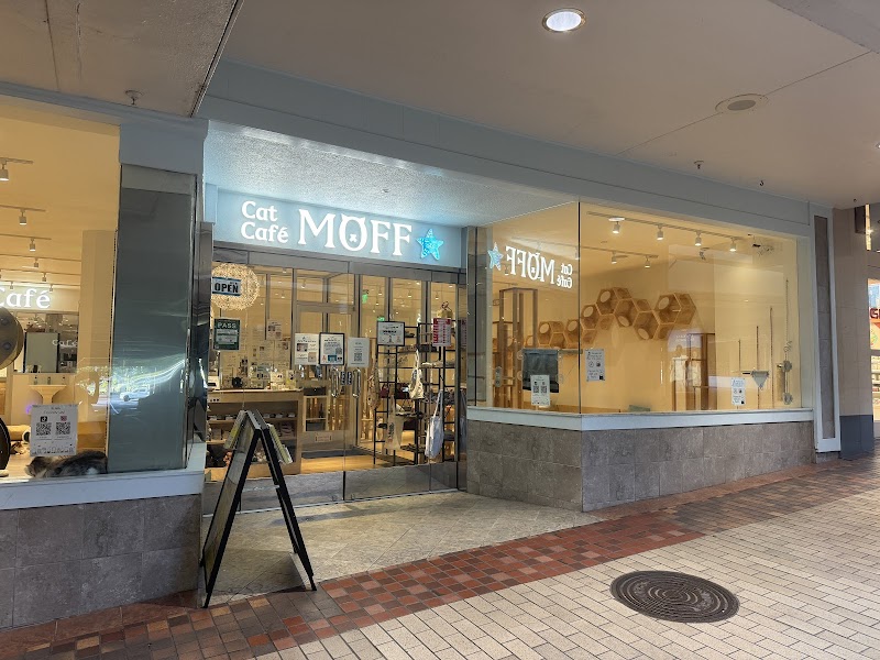 Cat Café MOFF Ala Moana Center