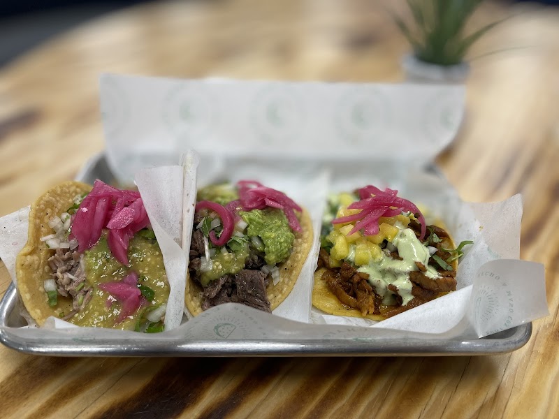 Chatos Tacos photo 2