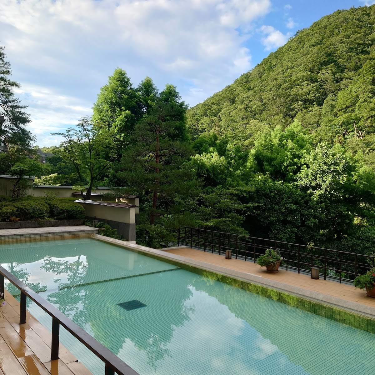 Sakunami Onsen Yuzukushi Salon Ichinobo - ryokan in Sakunami Onsen, Miyagi (3)