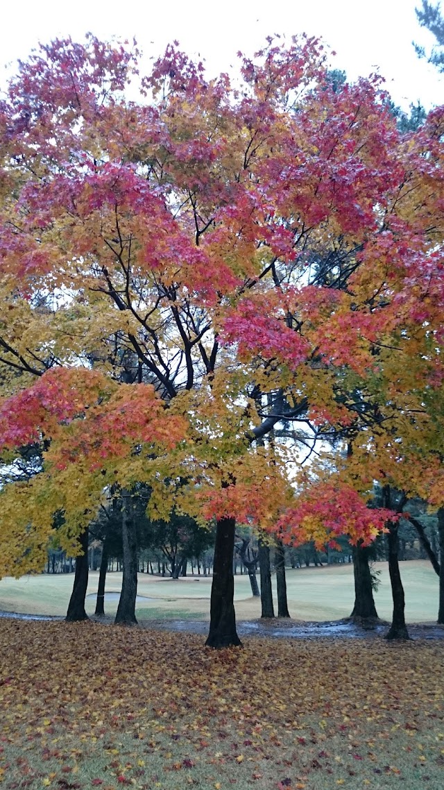 Ikaho Country Club - Photo 8