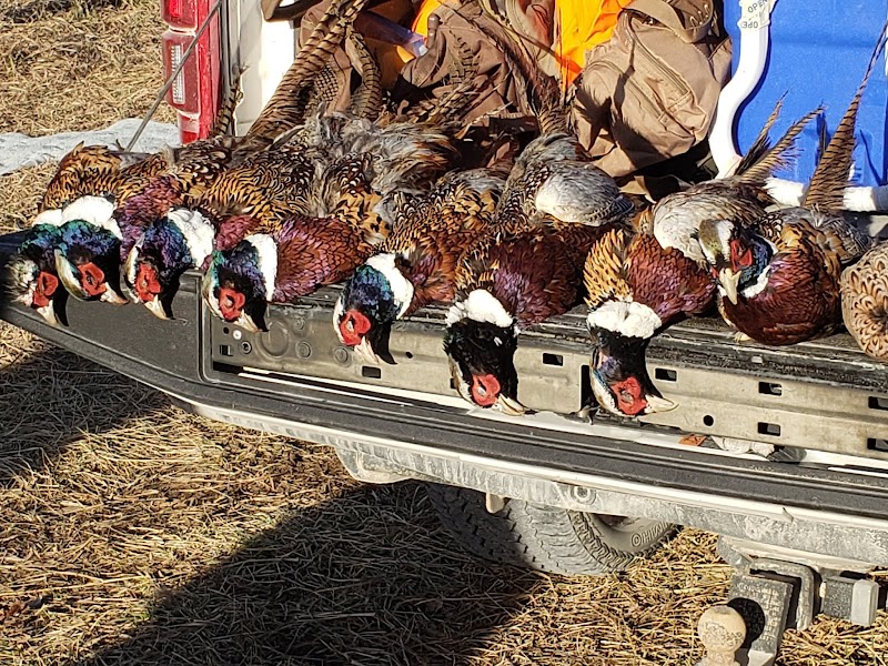 Eckman Gamebird Farm & Hunting - Photo 1