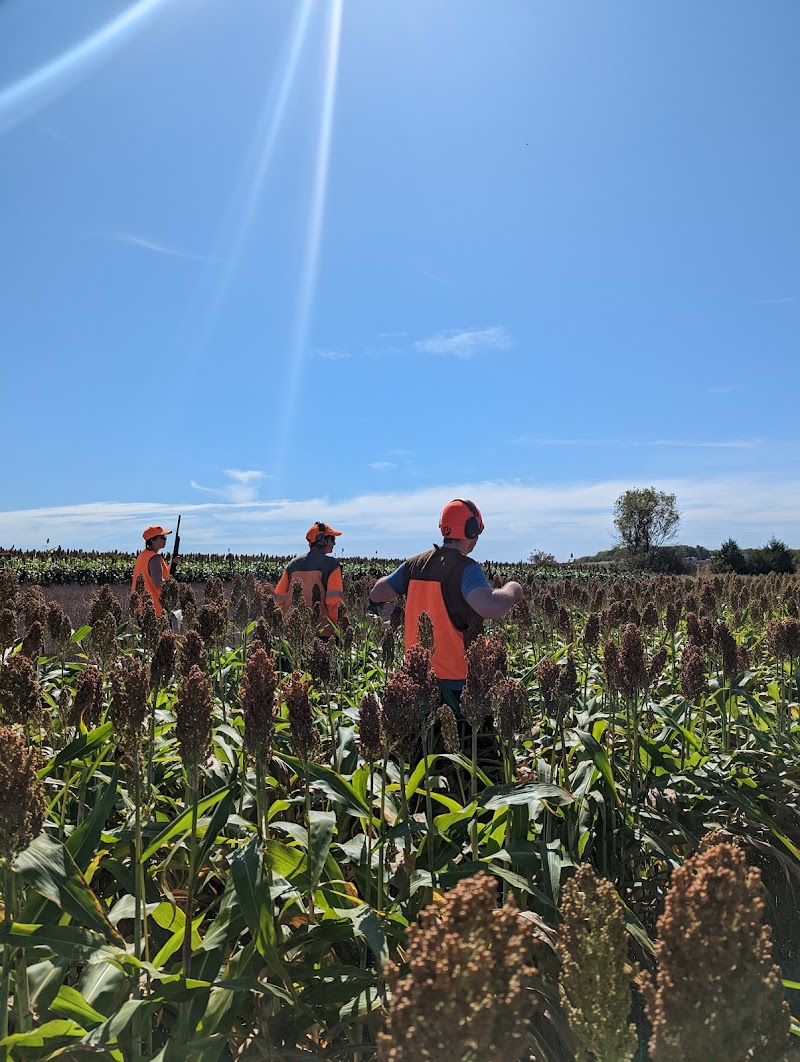 Eckman Gamebird Farm & Hunting - Photo 5