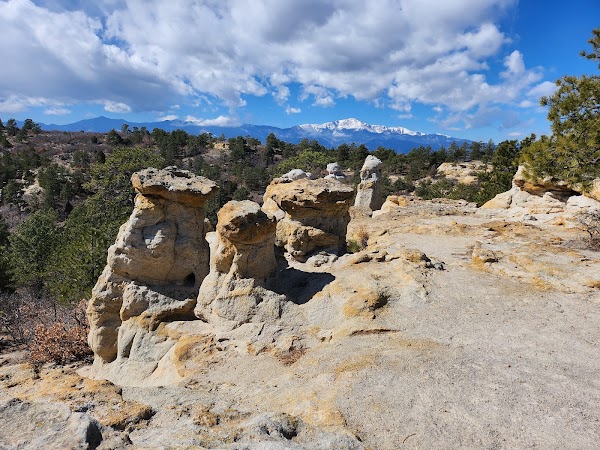 Palmer Park 1