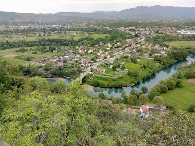 Spuž