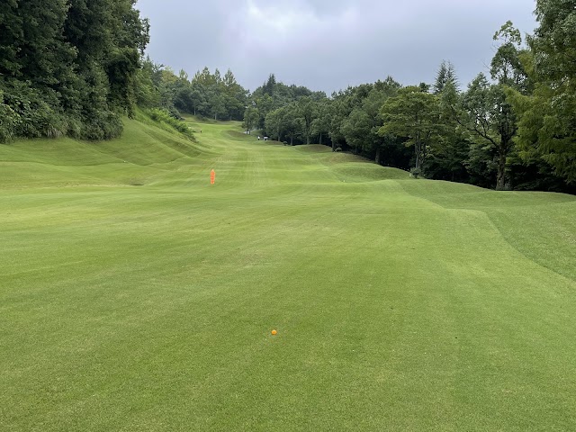 Mission Hills Golf Club - Duval Course - Photo 2