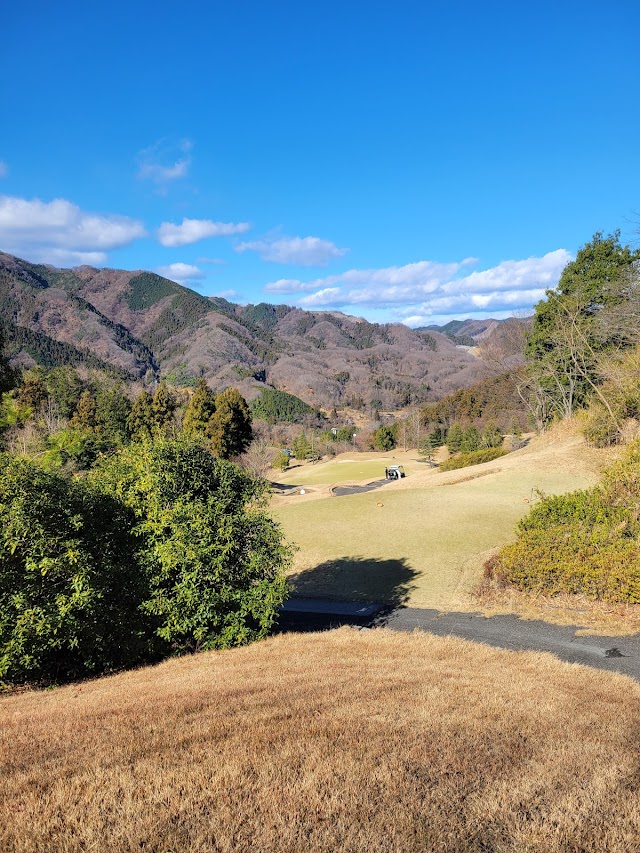Mission Hills Golf Club - Olazabal Course - Photo 4