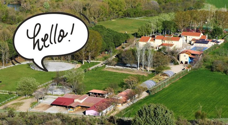 Campamentos Tadeo Jones