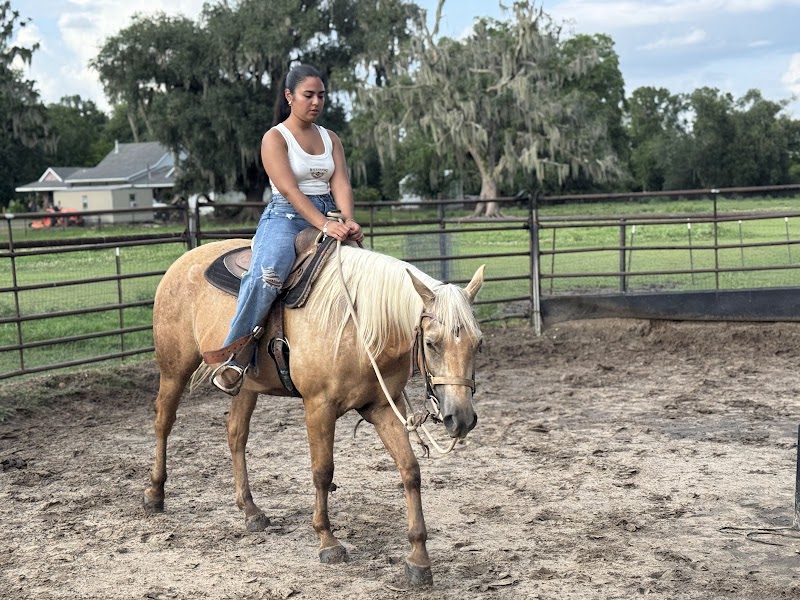 Rocking N Ranch - Photo 1