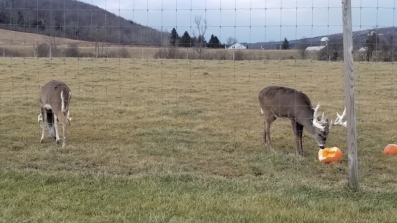 Cold Brook Hunts - Photo 3