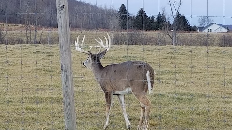 Cold Brook Hunts - Photo 5