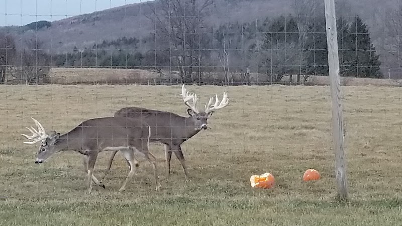 Cold Brook Hunts - Photo 1