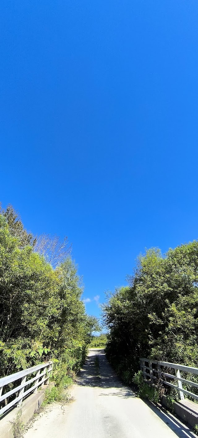 Satsunai River Golf Course - Photo 10