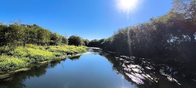 Satsunai River Golf Course - Photo 9